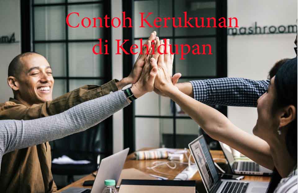 Detail Contoh Kerukunan Di Masyarakat Nomer 3