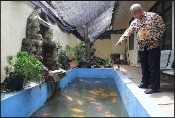 Detail Contoh Kolam Ikan Arwana Nomer 12