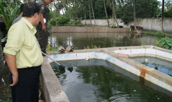 Detail Contoh Kolam Ikan Arwana Nomer 3