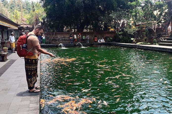 Detail Contoh Kolam Ikan Arwana Nomer 20