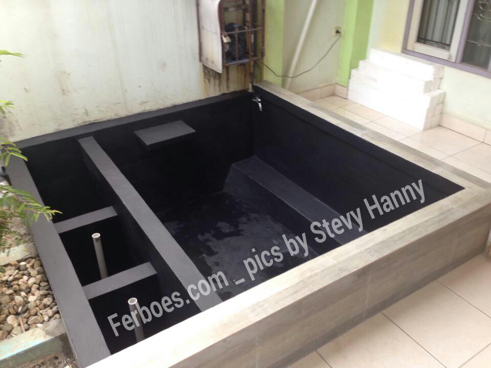 Detail Contoh Kolam Ikan Arwana Nomer 25