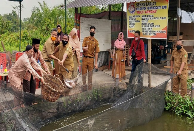 Detail Contoh Kolam Ikan Arwana Nomer 26
