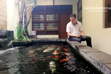 Detail Contoh Kolam Ikan Arwana Nomer 39