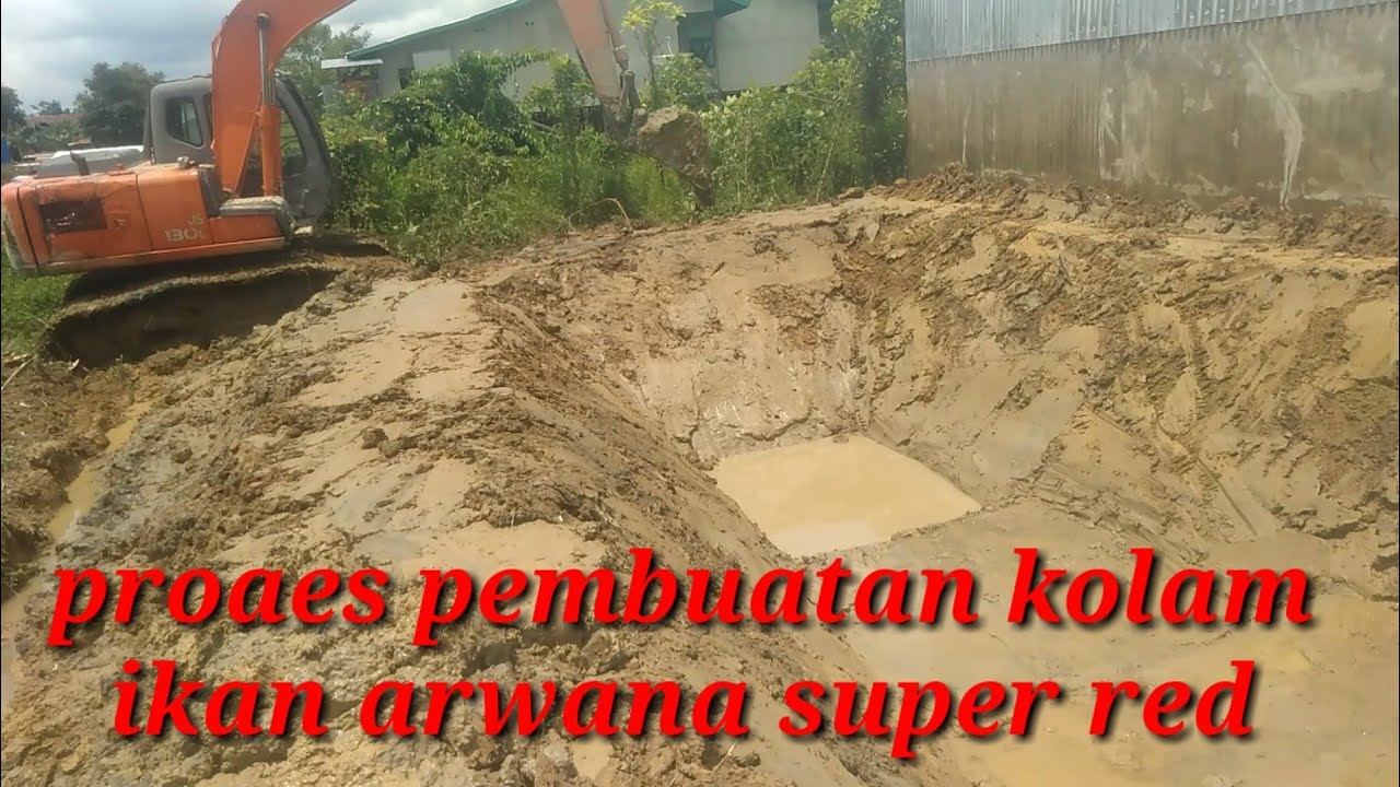 Detail Contoh Kolam Ikan Arwana Nomer 40