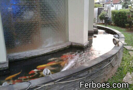 Detail Contoh Kolam Ikan Arwana Nomer 44