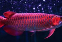 Detail Contoh Kolam Ikan Arwana Nomer 46