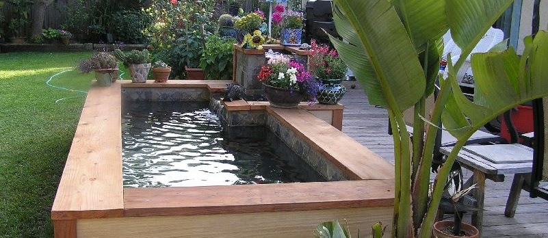 Detail Contoh Kolam Ikan Arwana Nomer 7