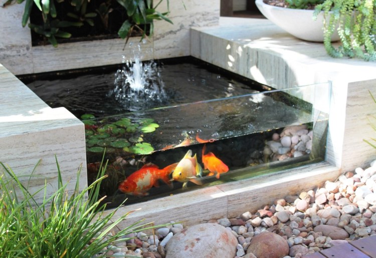 Detail Contoh Kolam Ikan Arwana Nomer 8