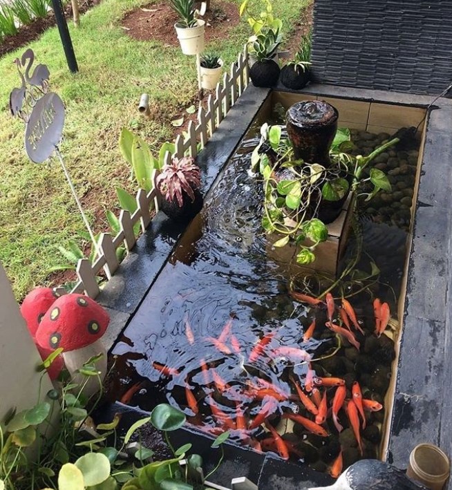 Detail Contoh Kolam Ikan Depan Rumah Nomer 13