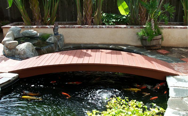 Detail Contoh Kolam Ikan Depan Rumah Nomer 25