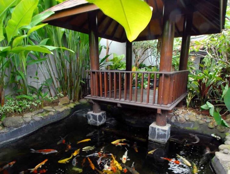 Detail Contoh Kolam Ikan Depan Rumah Nomer 9