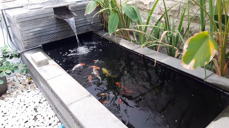 Detail Contoh Kolam Ikan Hiasan Nomer 10