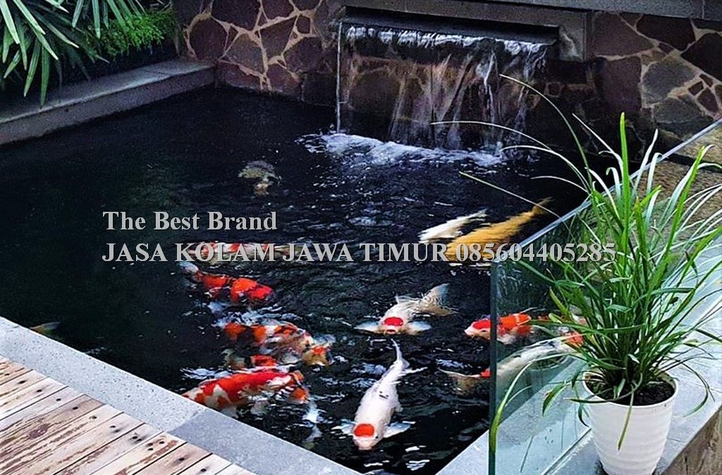 Detail Contoh Kolam Ikan Koi Nomer 41