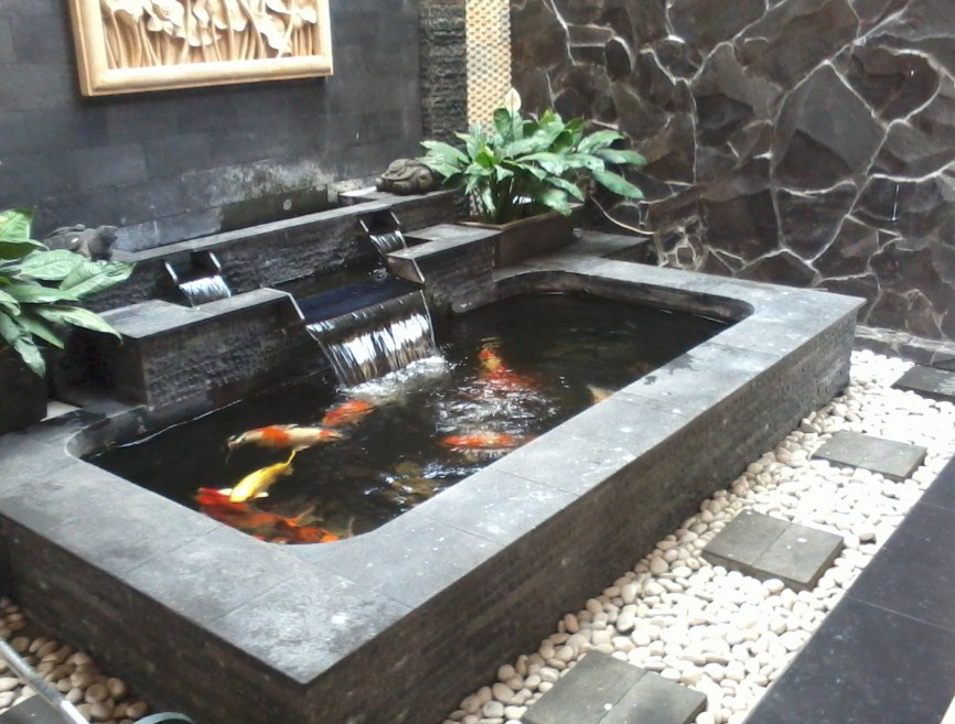 Detail Contoh Kolam Ikan Minimalis Depan Rumah Nomer 41