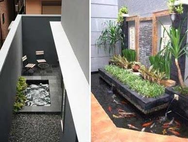 Detail Contoh Kolam Ikan Minimalis Depan Rumah Nomer 54