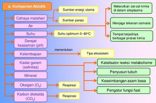 Detail Contoh Komponen Abiotik Dan Biotik Nomer 34