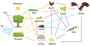 Detail Contoh Komponen Biotik Dan Abiotik Nomer 36