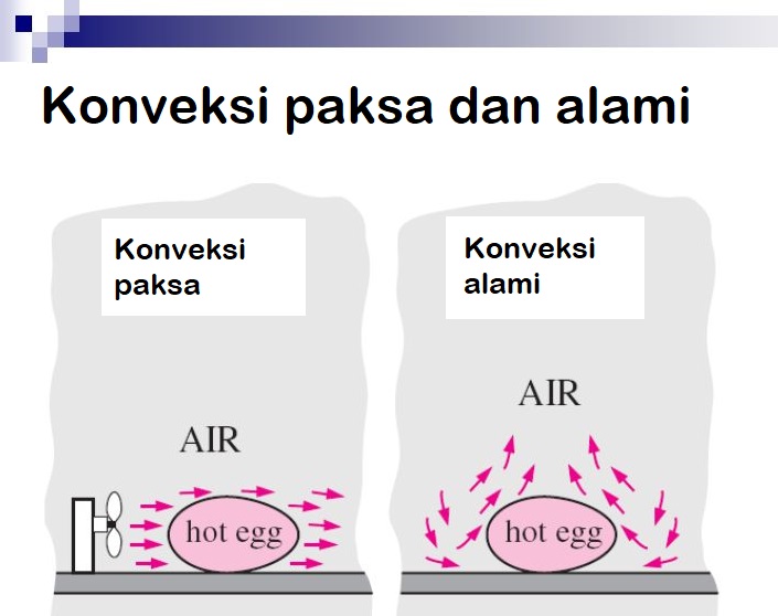 Contoh Konveksi Alami - KibrisPDR