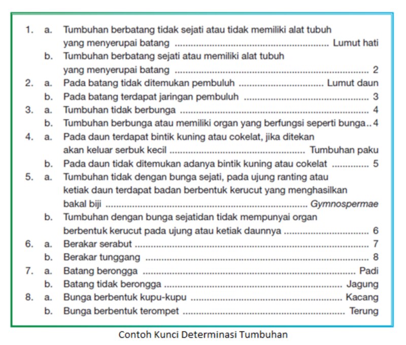 Detail Contoh Kunci Determinasi Hewan Nomer 3