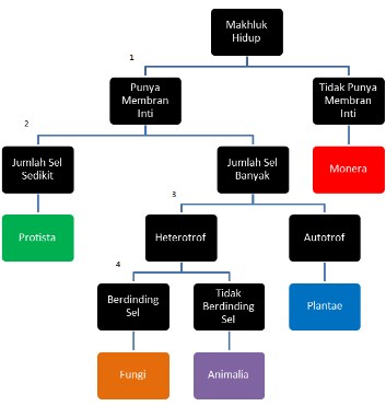 Detail Contoh Kunci Determinasi Hewan Nomer 7