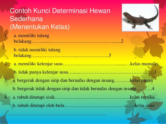 Detail Contoh Kunci Determinasi Hewan Nomer 8