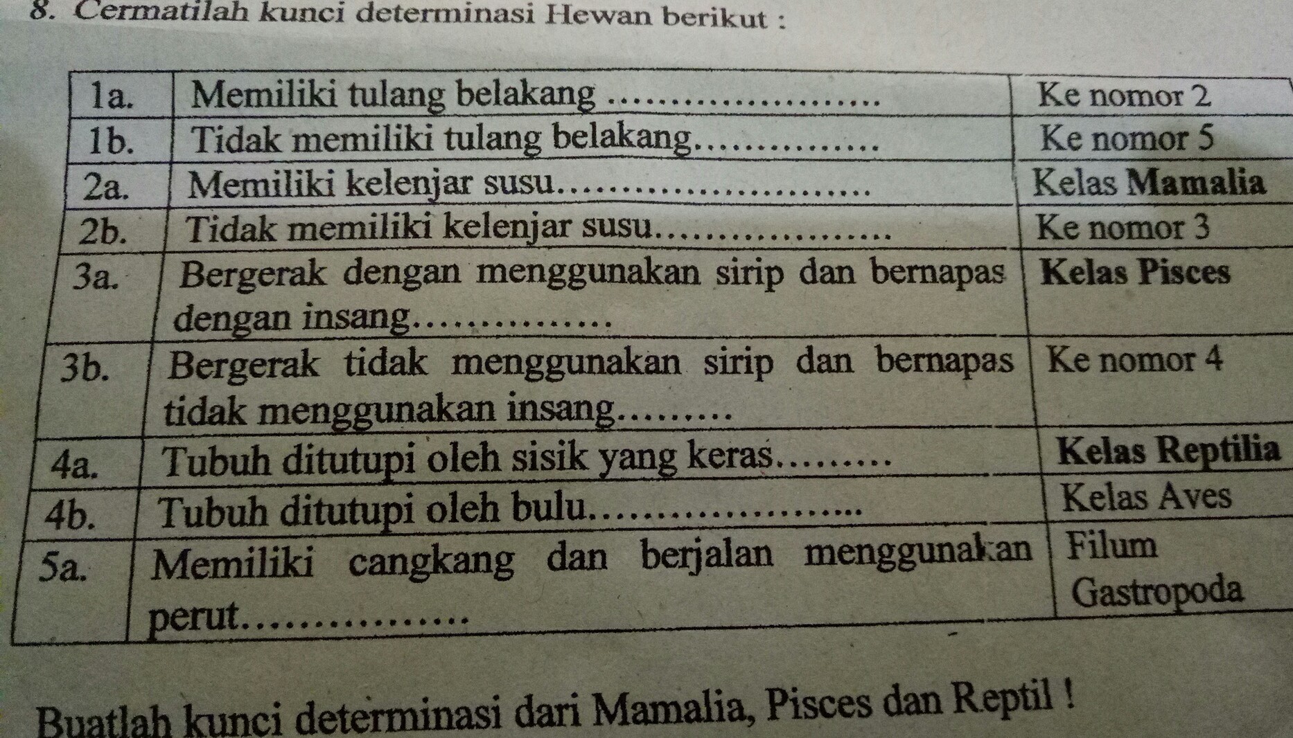 Detail Contoh Kunci Determinasi Hewan Nomer 10