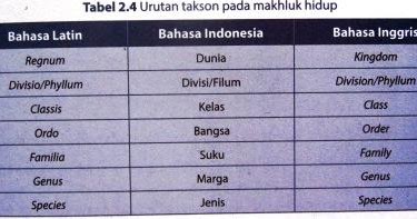 Detail Contoh Kunci Determinasi Sederhana Nomer 30