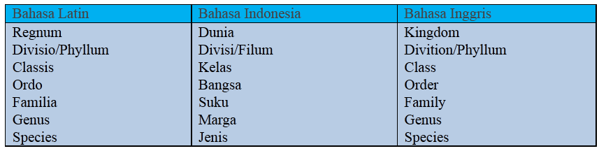 Detail Contoh Kunci Determinasi Sederhana Nomer 54