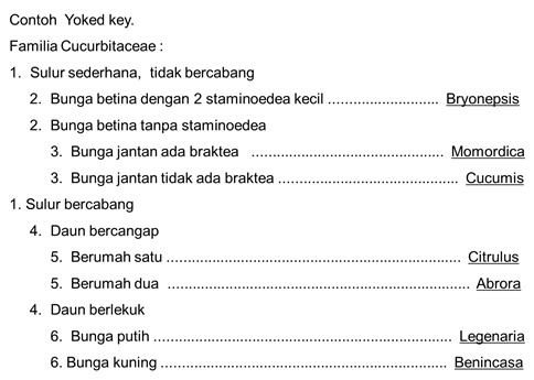 Detail Contoh Kunci Determinasi Tumbuhan Nomer 18