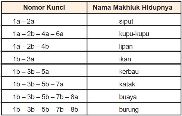 Detail Contoh Kunci Determinasi Tumbuhan Nomer 5