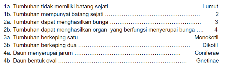 Detail Contoh Kunci Determinasi Tumbuhan Nomer 44