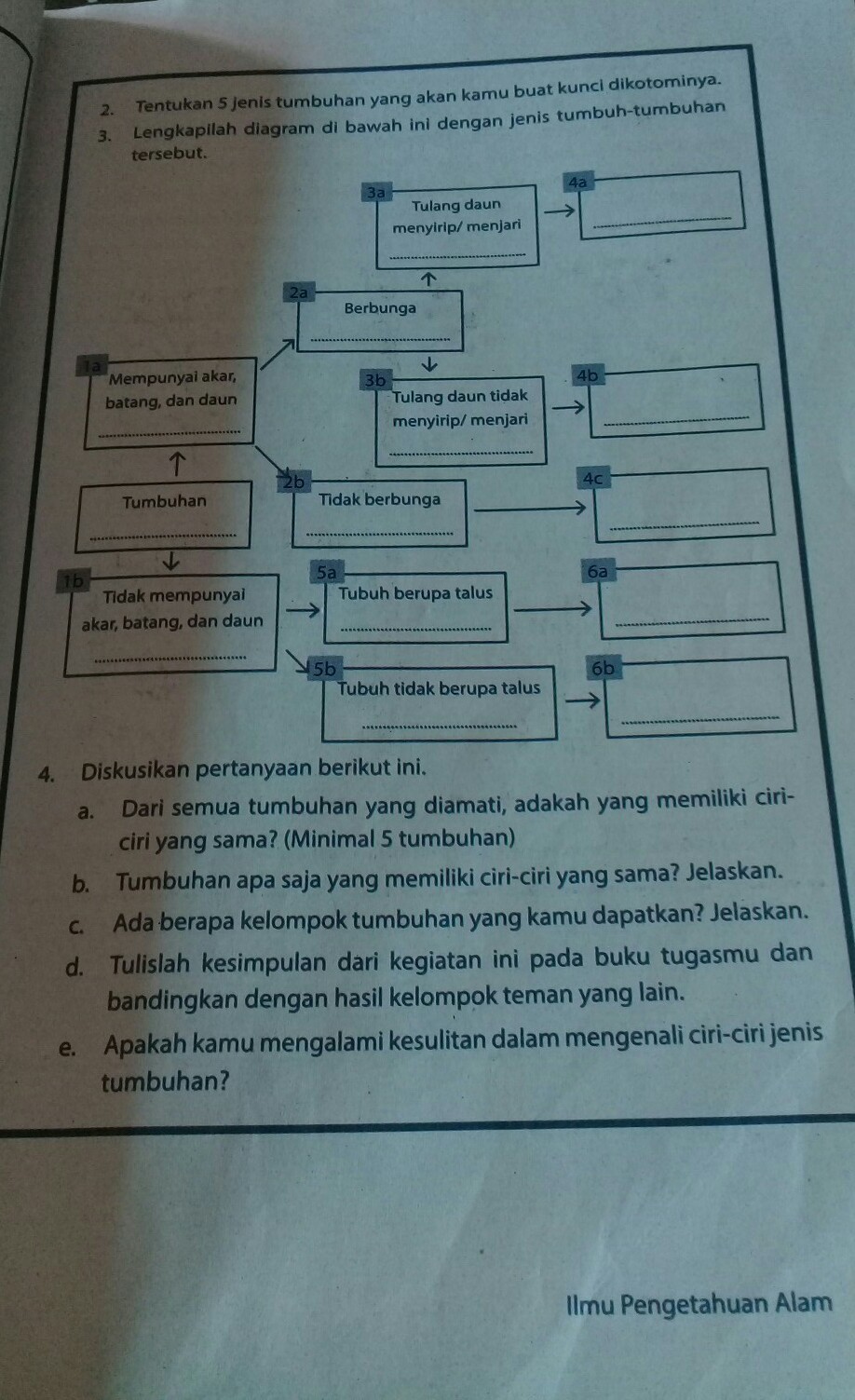 Detail Contoh Kunci Dikotom Tumbuhan Nomer 28