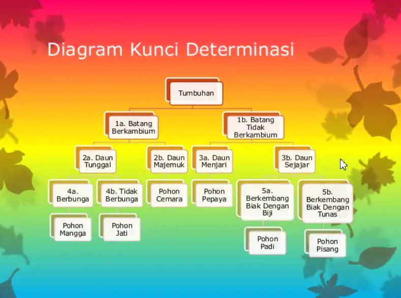 Detail Contoh Kunci Dikotom Tumbuhan Nomer 10