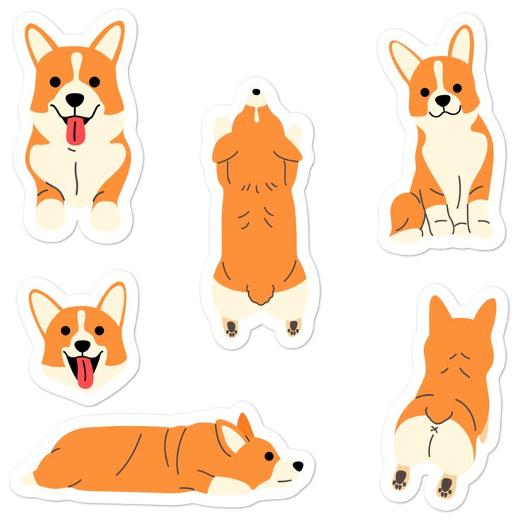 Detail Corgi And Beagle Nomer 11