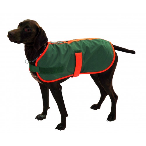 Detail Jagdhunde Bilder Nomer 10