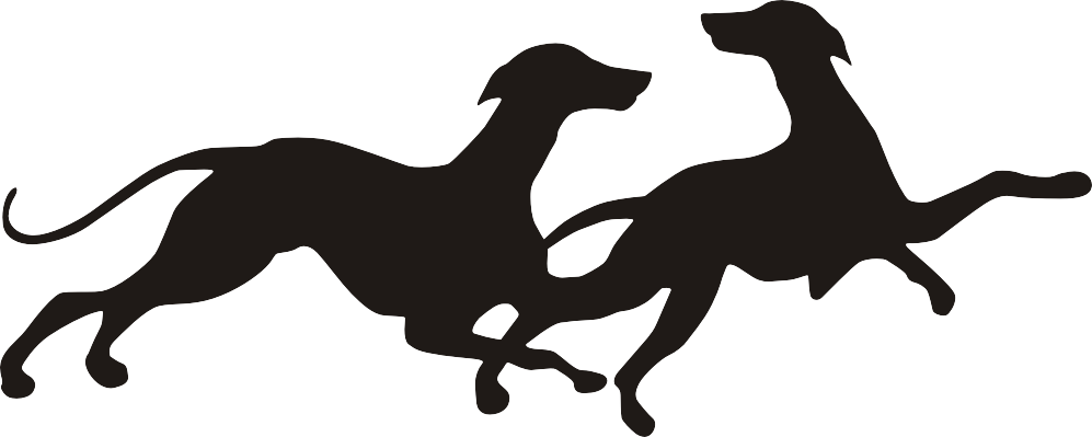 Detail Jagdhunde Bilder Nomer 3