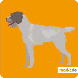 Detail Jagdhunde Bilder Nomer 4