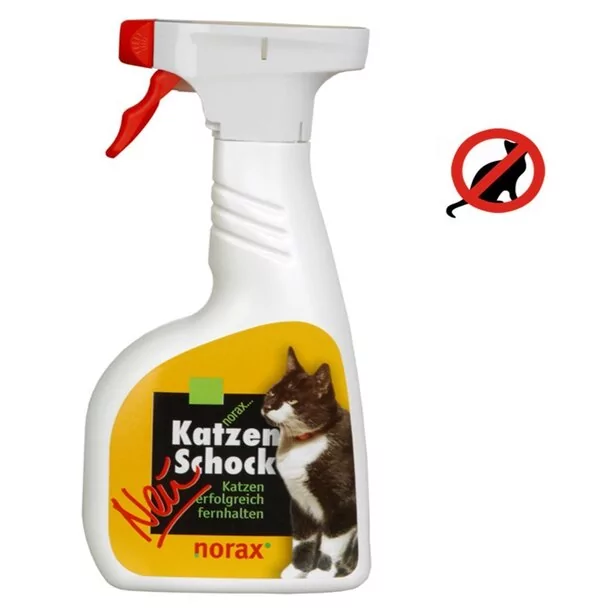 Detail Katzen Mit Flecken Nomer 11