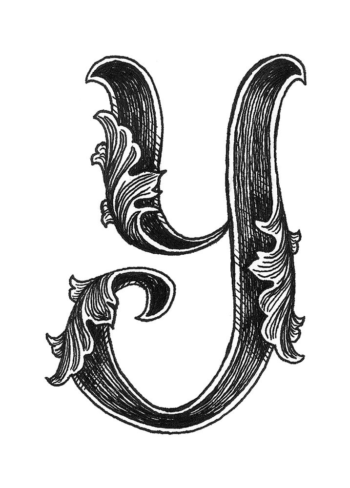 Leaf Script Alphabet - KibrisPDR