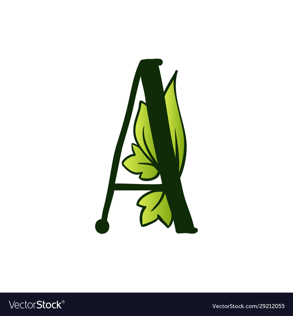 Detail Leaf Script Alphabet Nomer 7