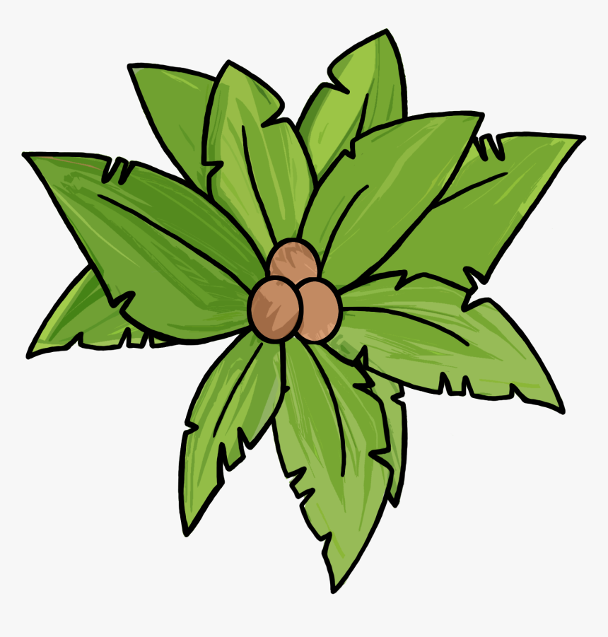 Palm Tree Plan - KibrisPDR