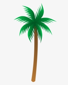 Detail Palm Tree Plan Nomer 9