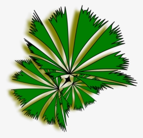 Detail Palm Tree Plan Nomer 2
