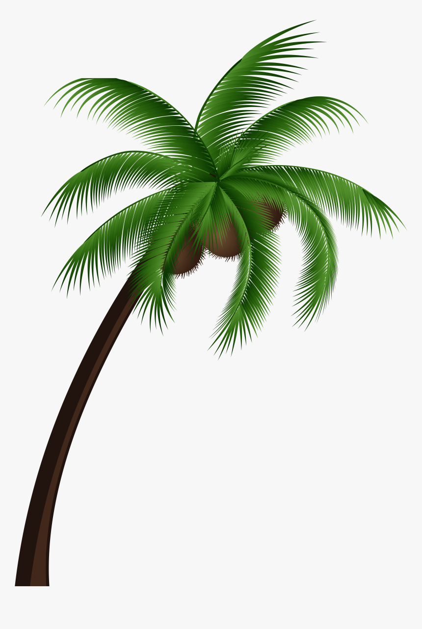 Detail Palm Tree Plan Nomer 4