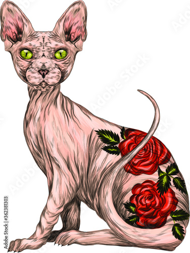 Detail Sphynx Katze Tattoo Nomer 15