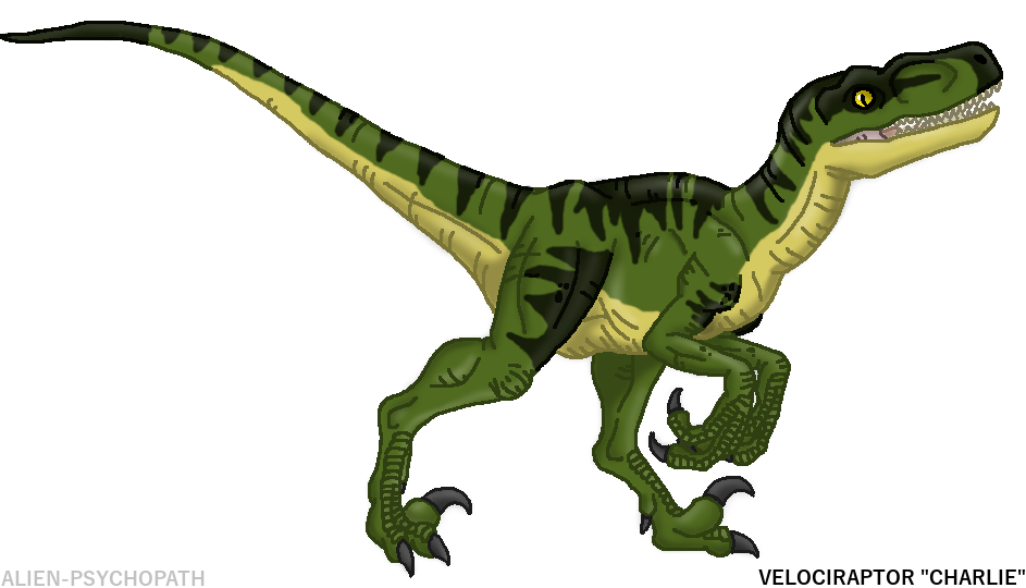 Detail Thinking Raptor Nomer 9
