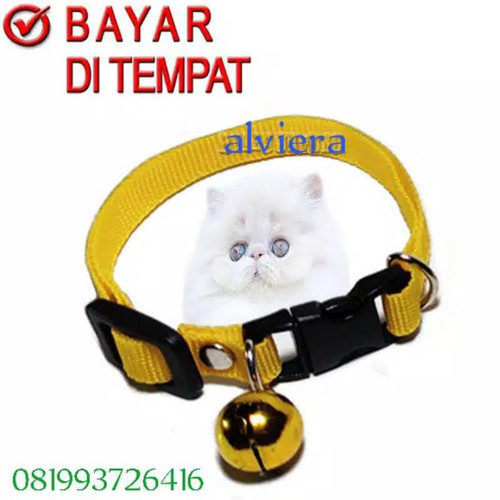 Detail Gambar Kalung Kucing Nomer 11