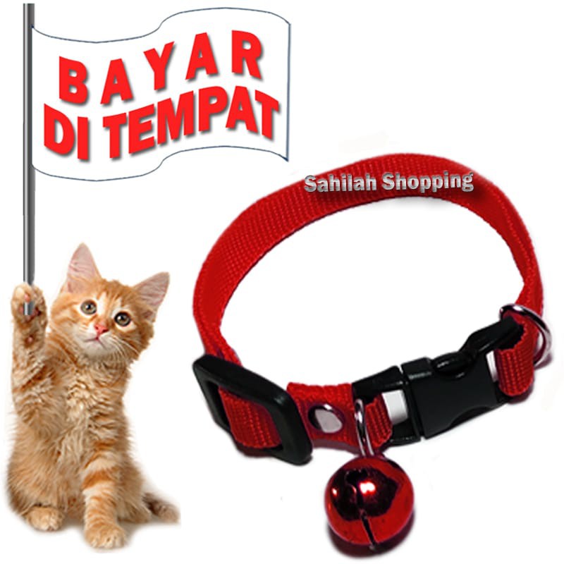 Detail Gambar Kalung Kucing Nomer 24