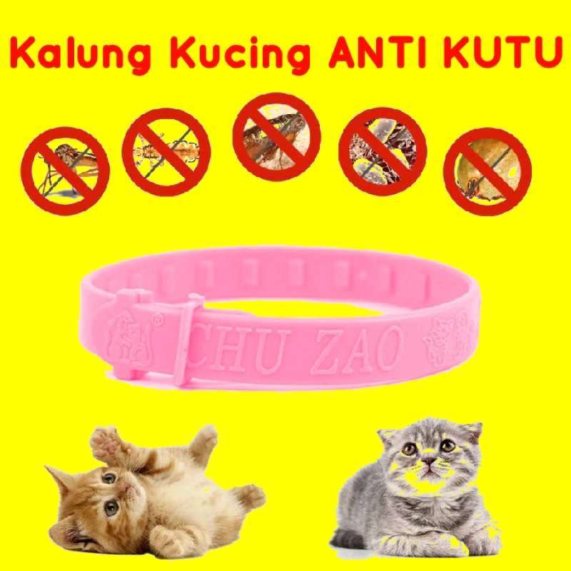 Detail Gambar Kalung Kucing Nomer 27