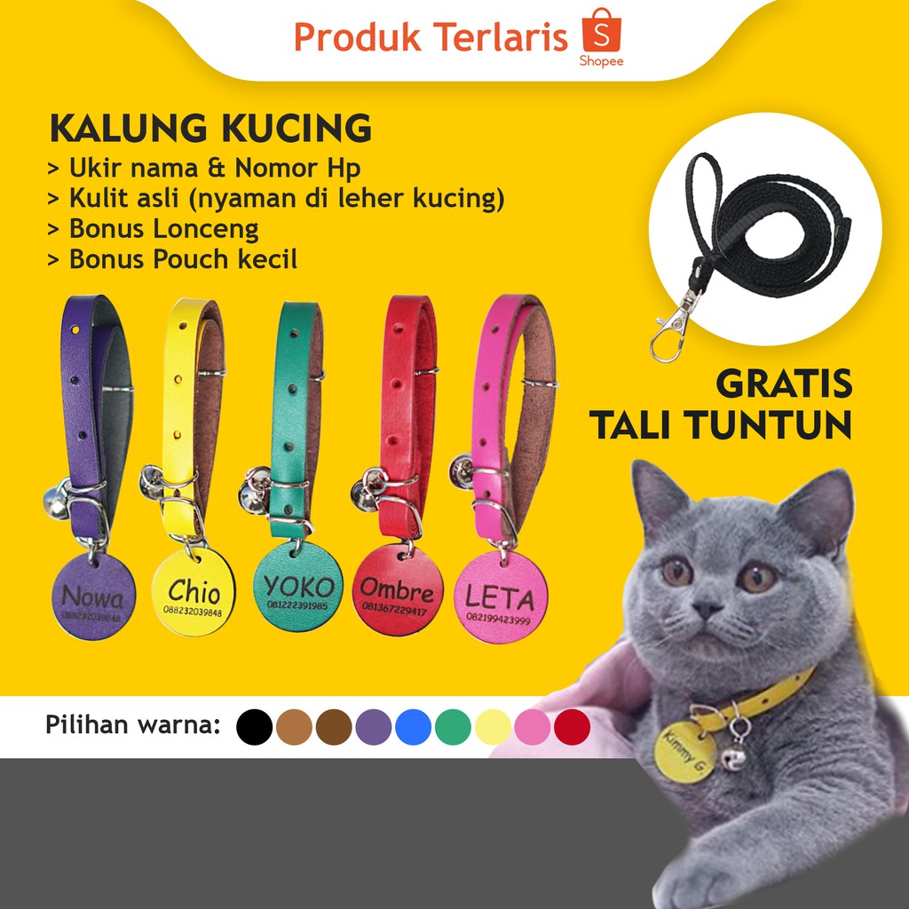 Download Gambar Kalung Kucing Nomer 39